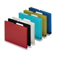 Load image into Gallery viewer, KOKUYO NEOS A4P-NEF30 INDIVIDUAL FOLDER with heading label