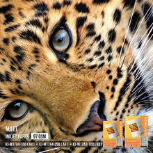 Load image into Gallery viewer, KOKUYO KJ-M17 Inkjet Paper - A4 / A3  (97g/m²) - MATTE PAPER